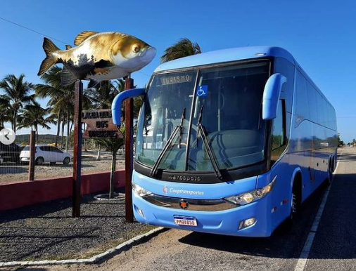 Atração turística em Sergipe: Lagoa dos Tambaquis