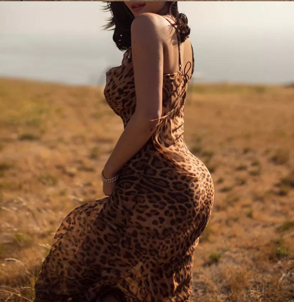 Thumbnail: Leopard Maxi Dress