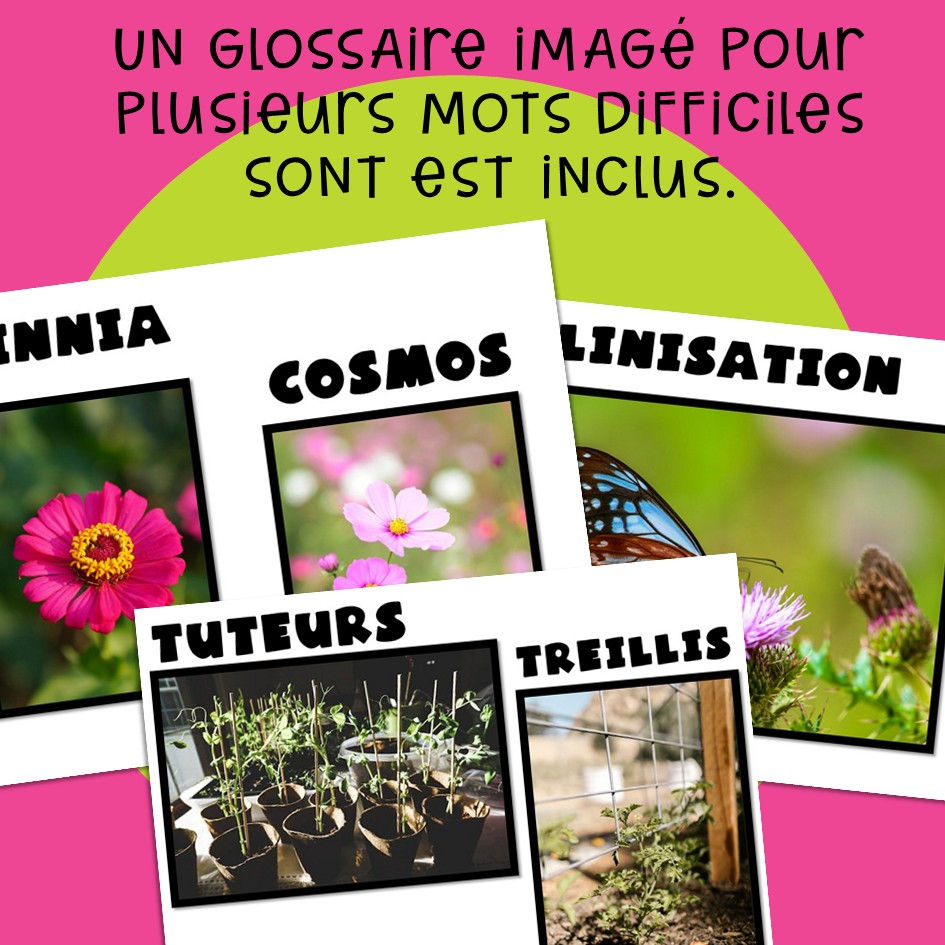 Thumbnail: Réso dont tu es le héros - Le jardin - 2e cycle