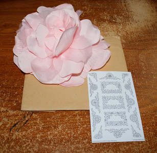 Anna Grunduls' hand-drawn floral sticker artwork photographed by Dylanna Fisher.