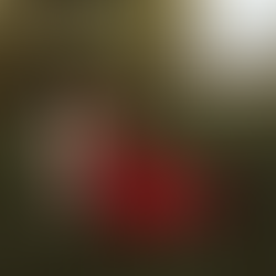 Woman in red sits in grass, holding a skateboard with "One More, One Less Car." She looks thoughtful, surrounded by trees.