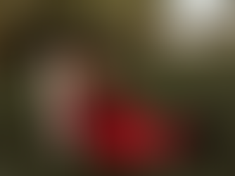 Woman in red sits in grass, holding a skateboard with "One More, One Less Car." She looks thoughtful, surrounded by trees.