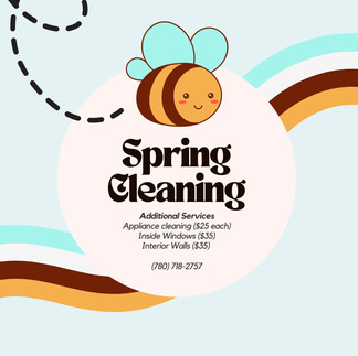 Social Media Post for Pixe Bee Cleaning for a Spring Cleaning Sale