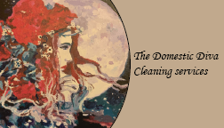 The Domestic Diva: The Domestic Diva specializes in clutter reduction, cleaning, sorting, and organization. 