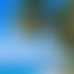 Birdie’s Music Taste and Maritime Past