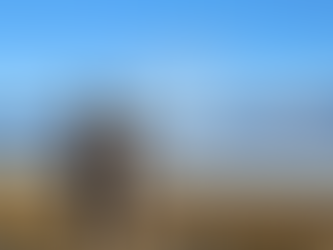 Throat Singing Covers