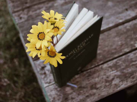 The Power of Music: An Excerpt of The Musical Pigeon