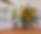 Copy of Copy of Flower Page Header.png