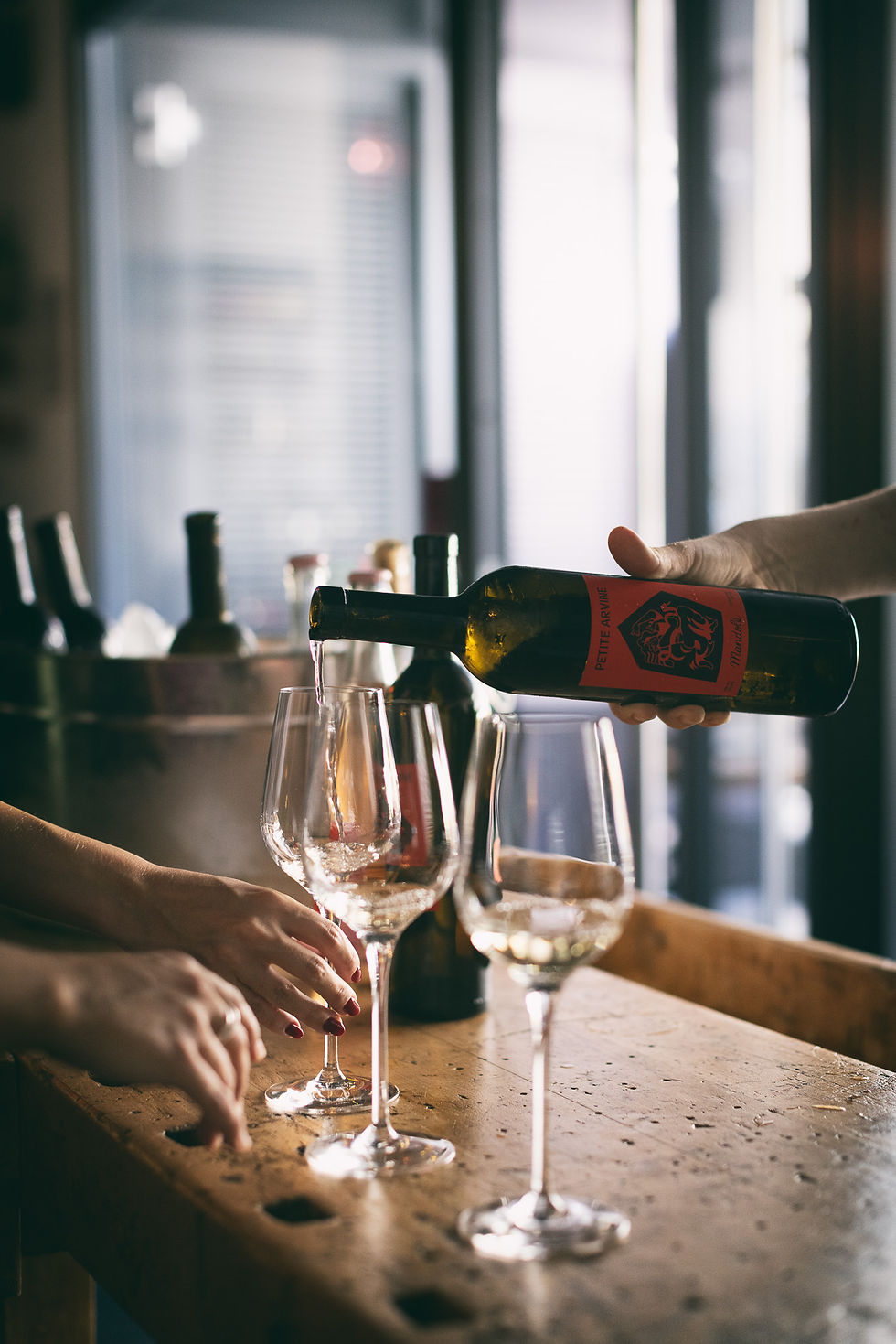 Lundi dégustation : Domaine Terre-Neuve