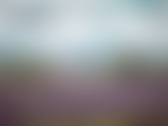 Jak to všechno začalo