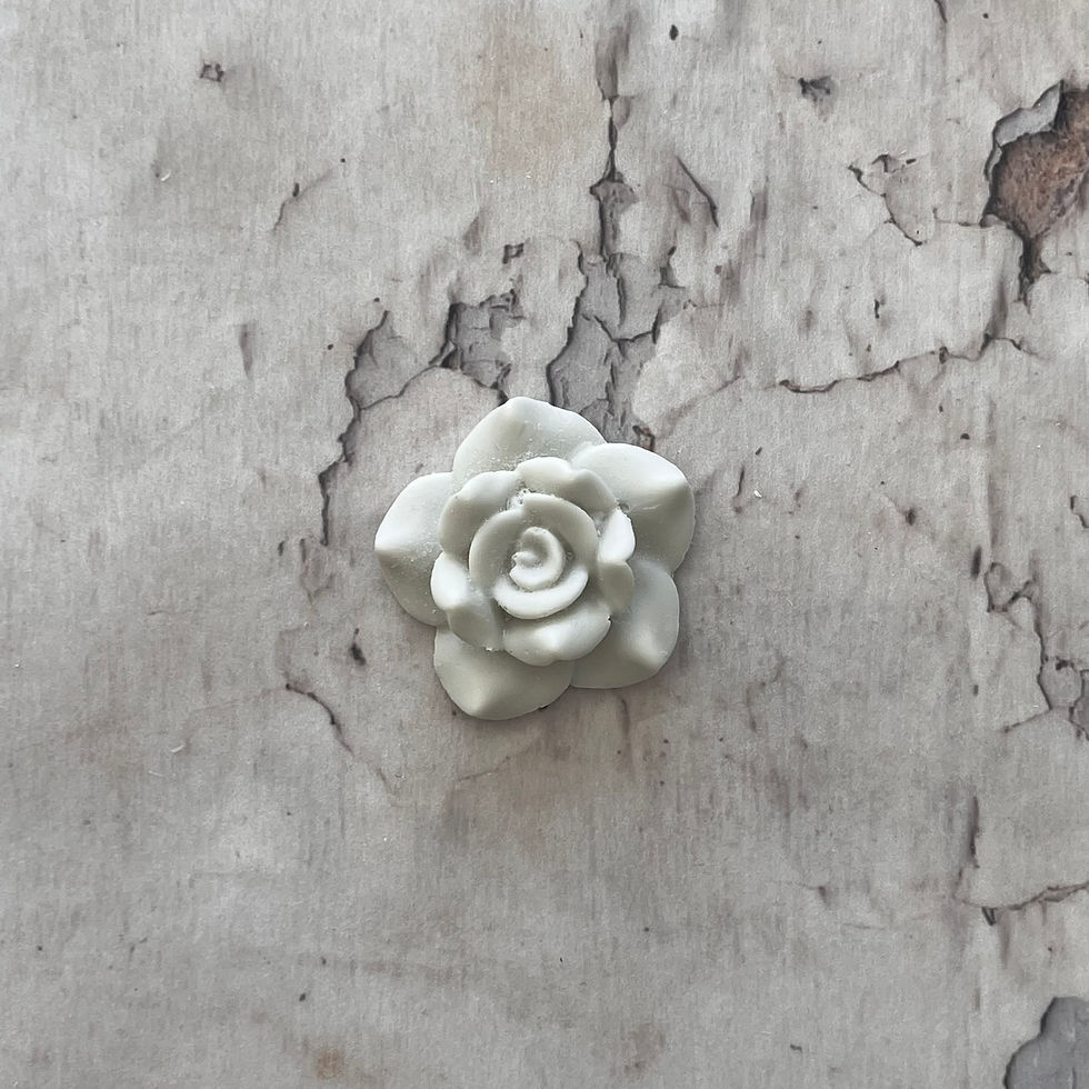 ROS300 Größe: 5,5 x 5,5 cm