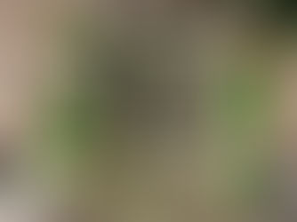 RESULT OF THE 29TH GOLF TOURNAMENT OF THE FONDATION SANTÉ CÔTE-DE-GASPÉ