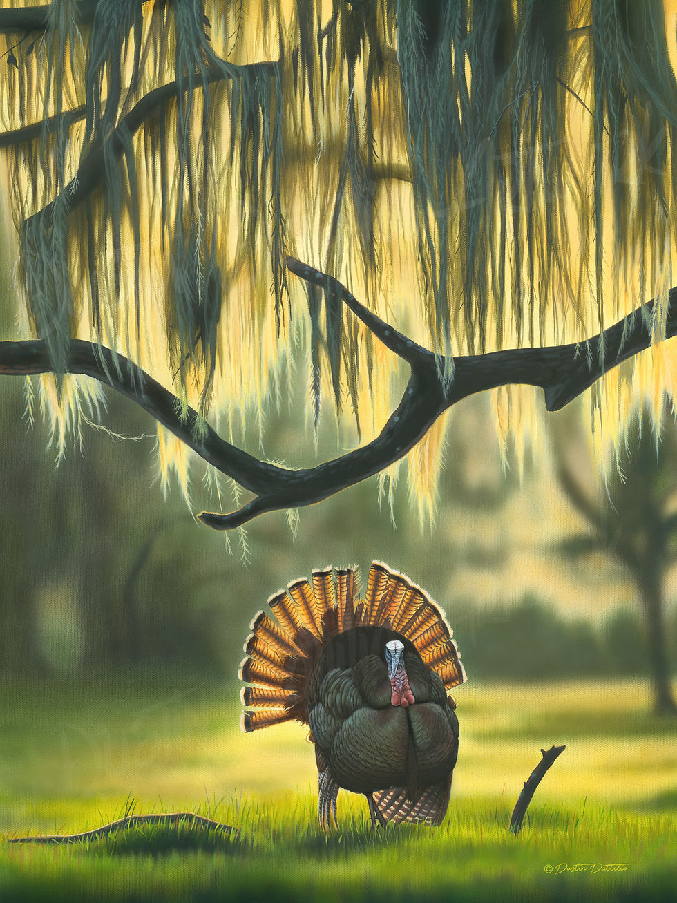 Osceola Turkey