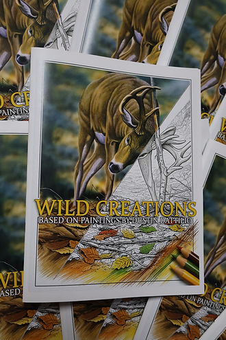 Wild Creations cover