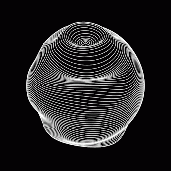 unnamed (4).gif