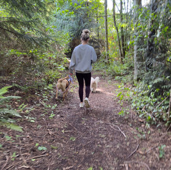 Finding moments of pause and solitude during the holiday season