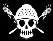 Oceanic Pastafarian flag copy.jpg