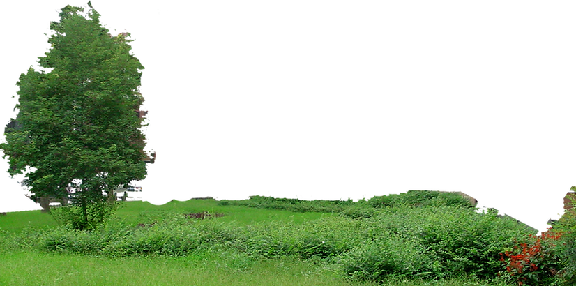 small_grass_mountain_2_by_wajdanali_d707wyn-fullview.png