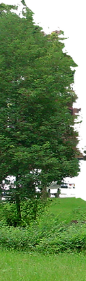 small_grass_mountain_2_by_wajdanali_d707wyn-fullview.png