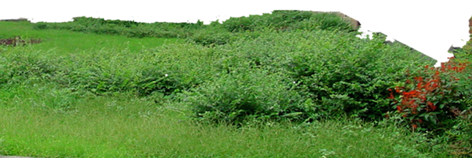 small_grass_mountain_2_by_wajdanali_d707wyn-fullview.png