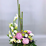 IMG_8256.JPG
