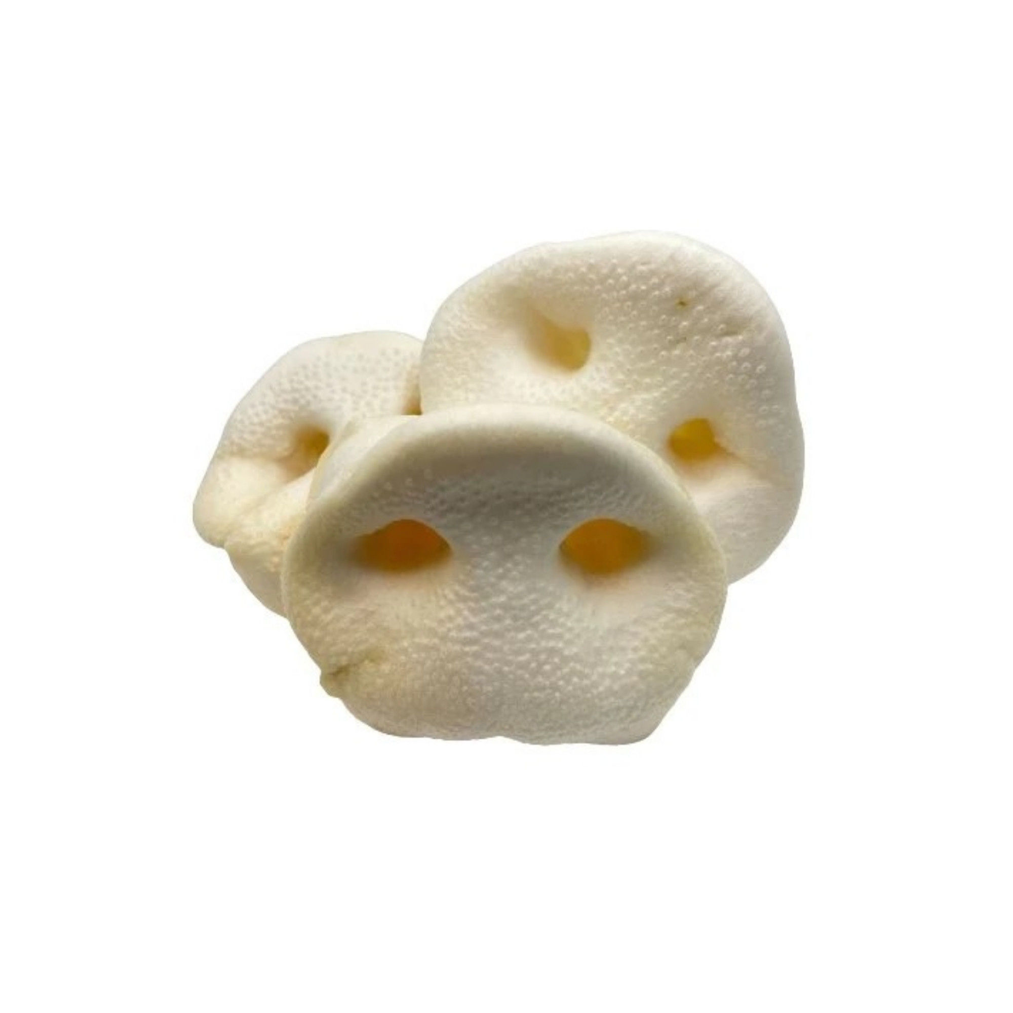 Puffed Pork Snout Dog Treat