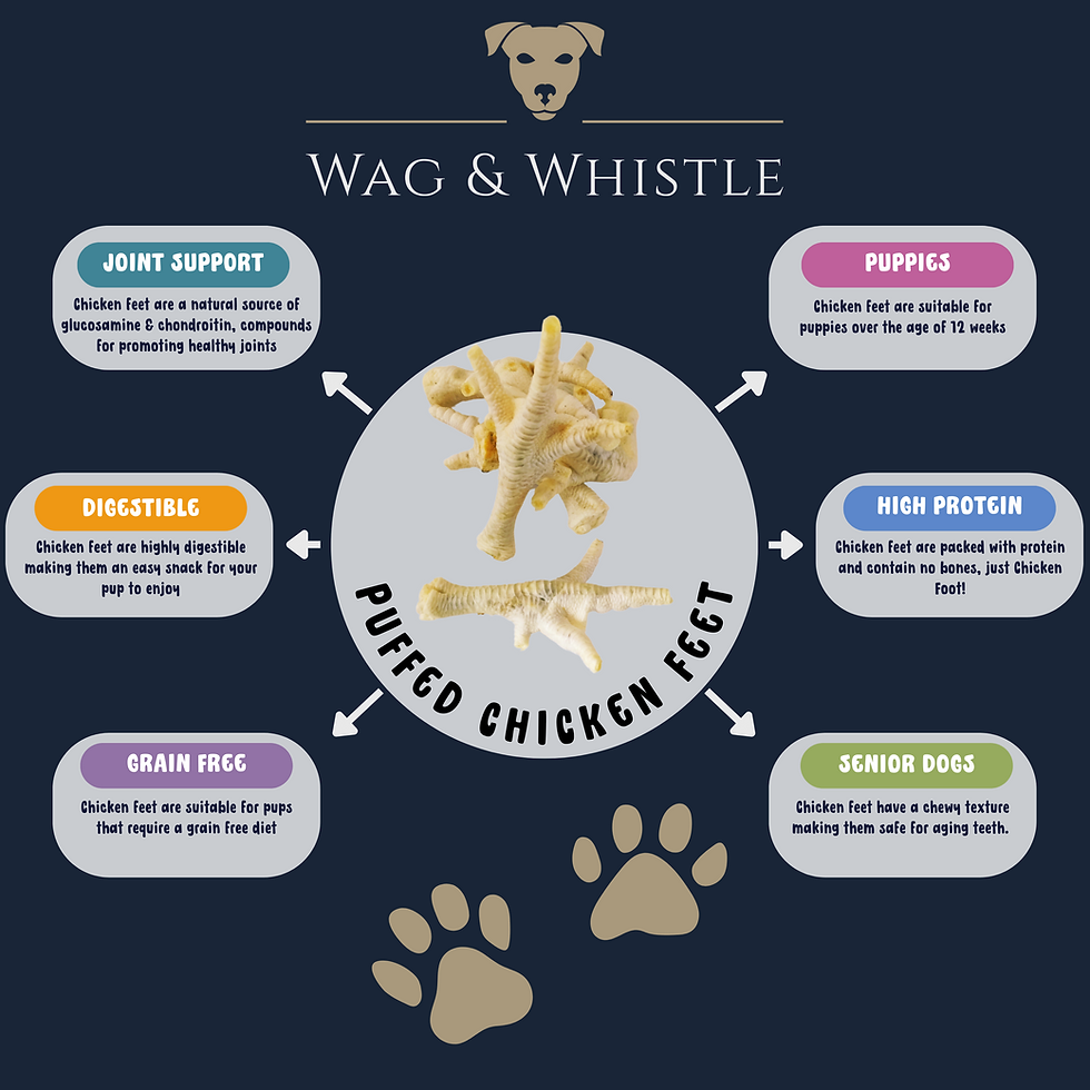 an infographic showing the health benefits of the product