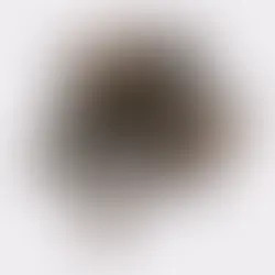 an image of our tripe stick product