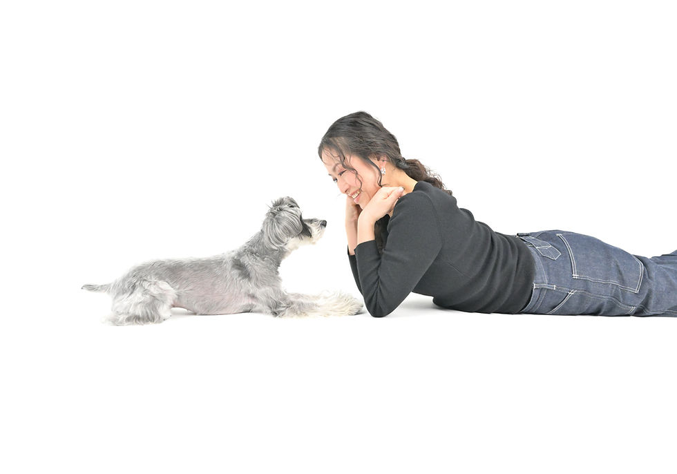 愛犬と見つめあう楽しい時間