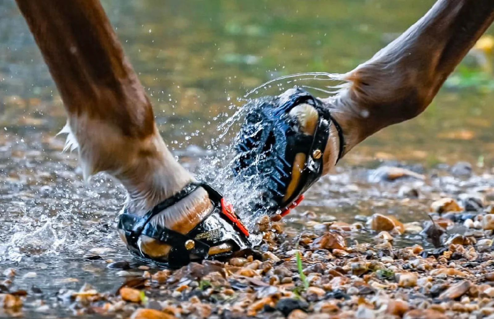 Enduro_water_1600x.webp