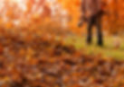Leaf-Removal