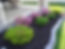 Mulch & Shrubs
