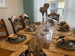 1 aviana ideal choice (5)