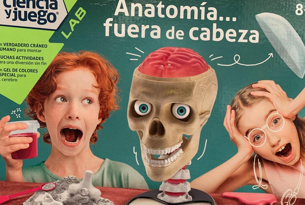 El cerebro