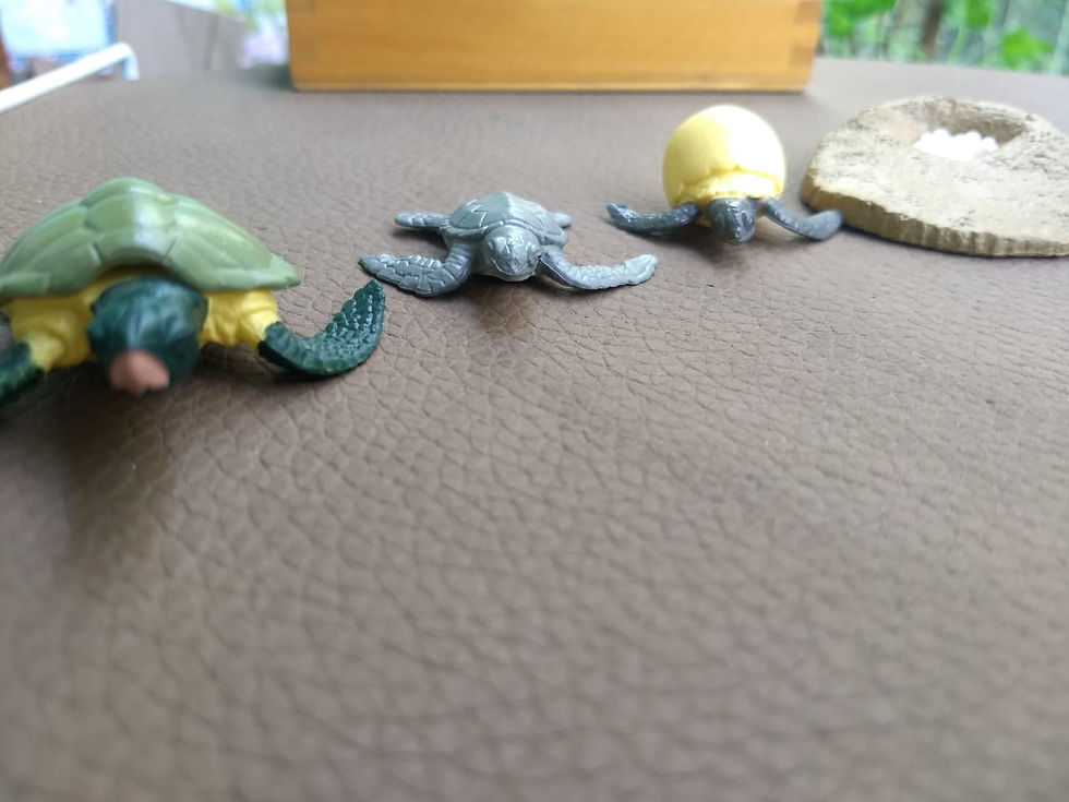 Thumbnail: Ciclo de crecimiento de realidad aumentada