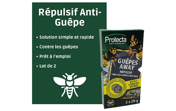 1nuisible1solution-guepes-away-banniere.webp