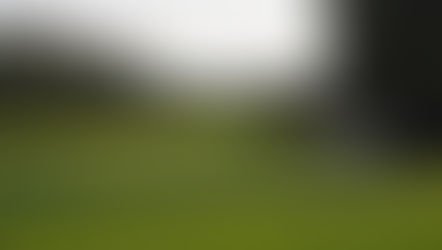 No caddie golf in Thailand/ Near Bangkok