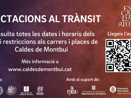 Afectacions al tà nsit