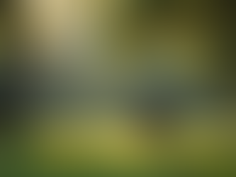 Taking Ownership of Your Emotions to Heal and Redirect Your Energy Inward