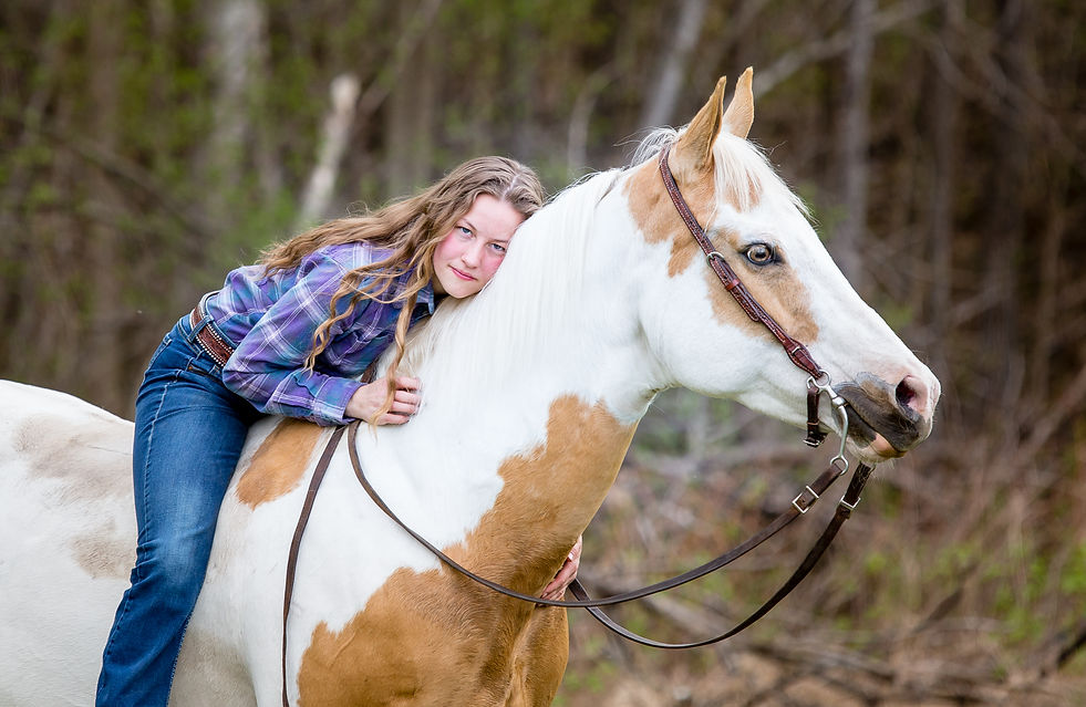 HORSE photography