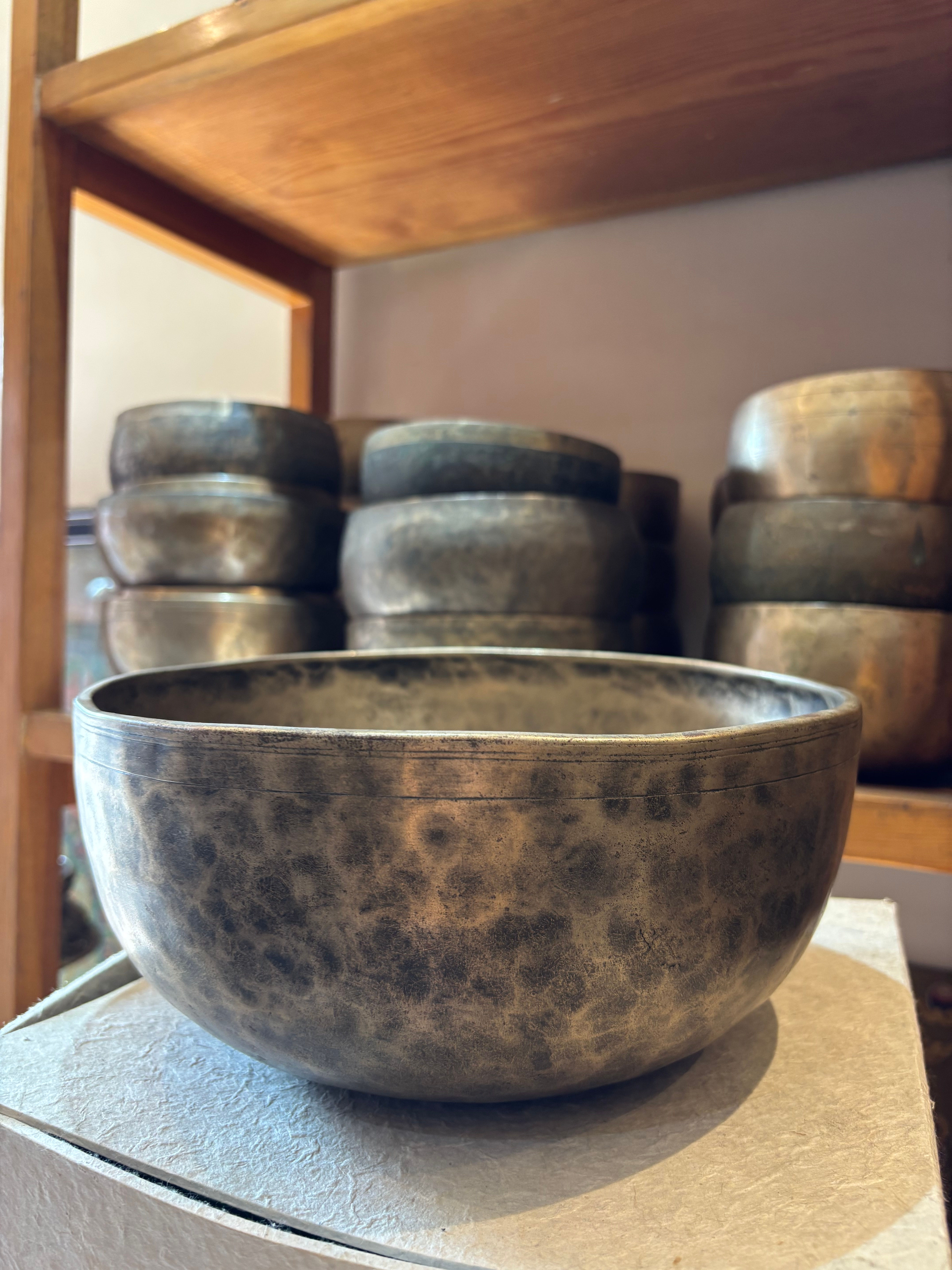 Large Jambati Singing Bowl / 26cm / G#2