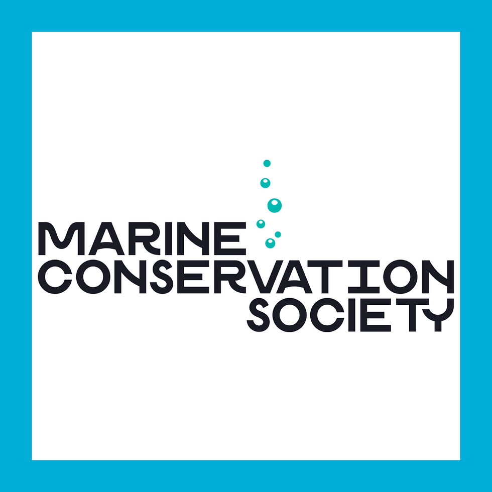 Marine Litter Citizen Science Training