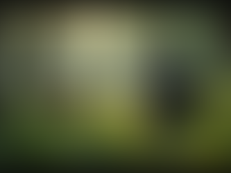 Wildlife Conservation: The Role of Sustainable Hunting