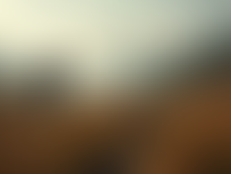 Join the Fight Against Hunting Import Bans