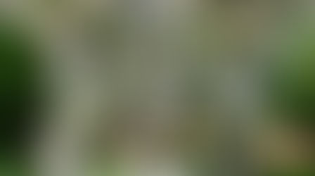 An Outdoor Dream Wedding at Creeksea Manor House