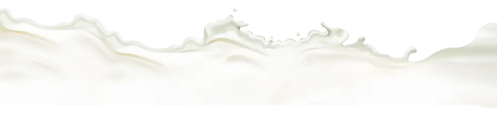 milk.webp