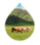 p7Asset-08.webp