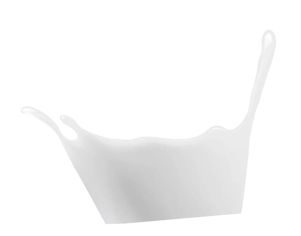 milk-11.webp