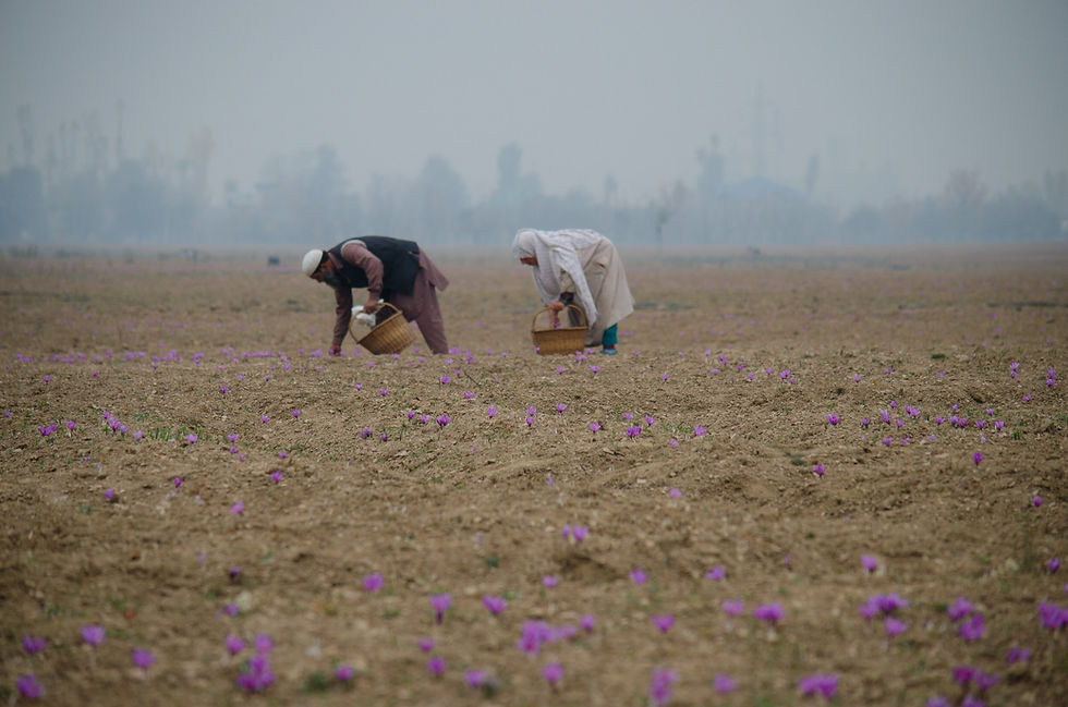 Photo by Arka Roy on Unsplash.
