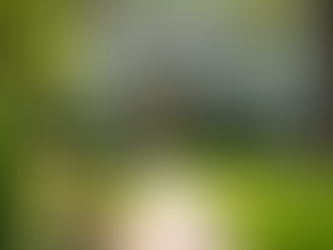 Top Remodeling Tips for Successful Home Flips